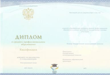 Диплом Профессионального колледжа г. Новокузнецка СпецБланк 2014-2020 годов